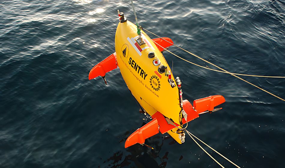 Autonomous Underwater Vehicles