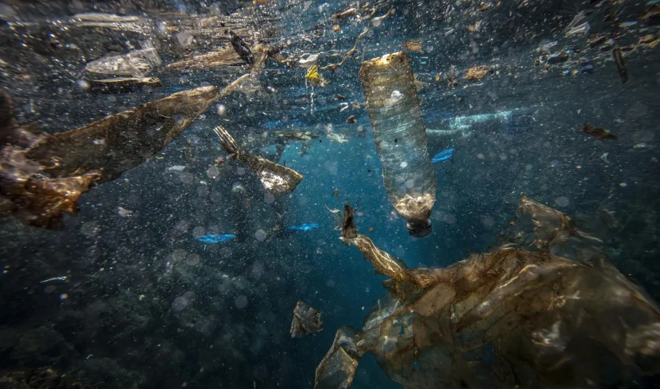 Plastic Pollution