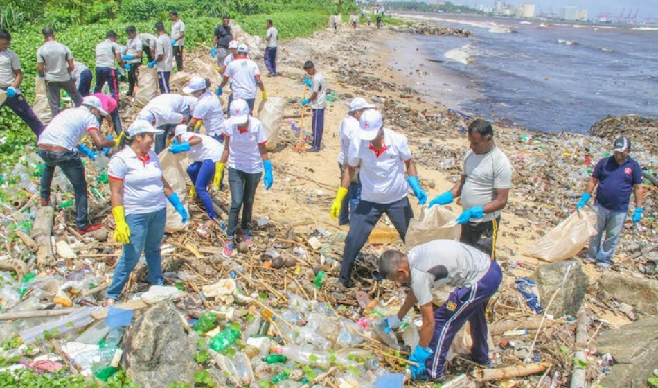 Ocean Heroes Unite: The Power of Collective Impact
